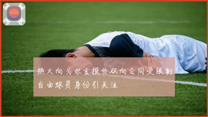 热火向戈尔金报价双向合同受限制自由球员身份引关注