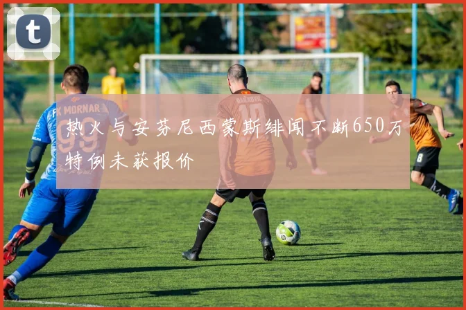 热火与安芬尼西蒙斯绯闻不断650万特例未获报价